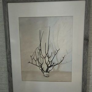 "Juntos" photo print framed of Driftwood and Coral from Holbox, mexico
